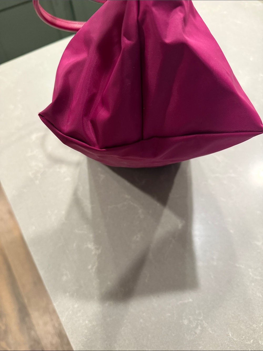 Longchamp Tote in Bright Fuchsia with Black Logo - Picture 10 of 11